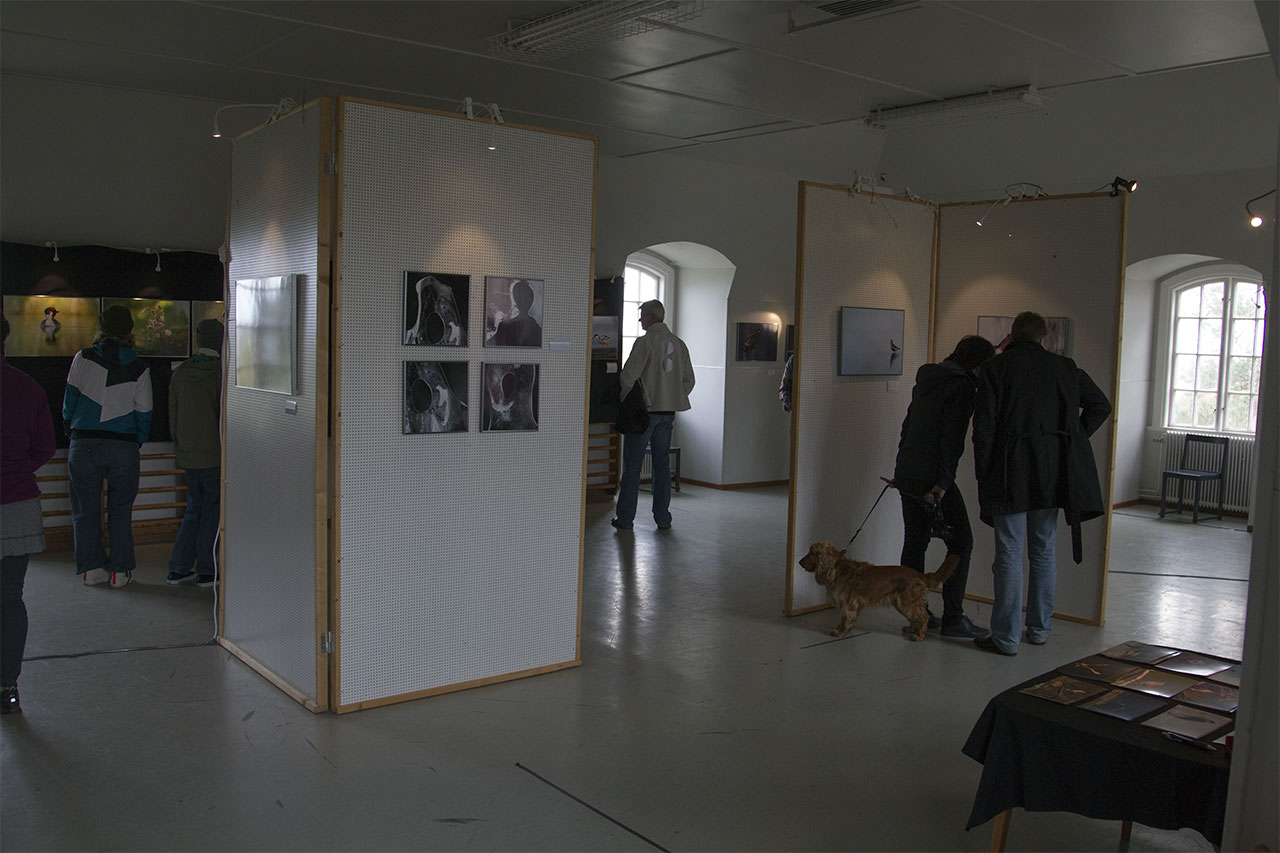 Fotoutställning, Kastlösa, Öland